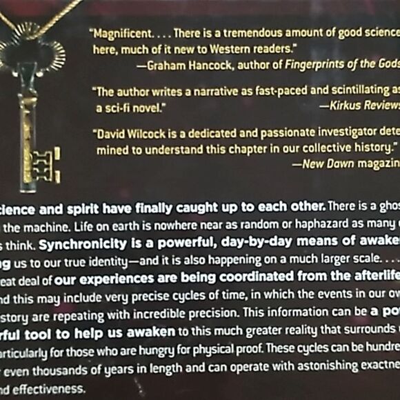 The Synchronicity Key hardcover book David Wilcox - Picture 4 of 12